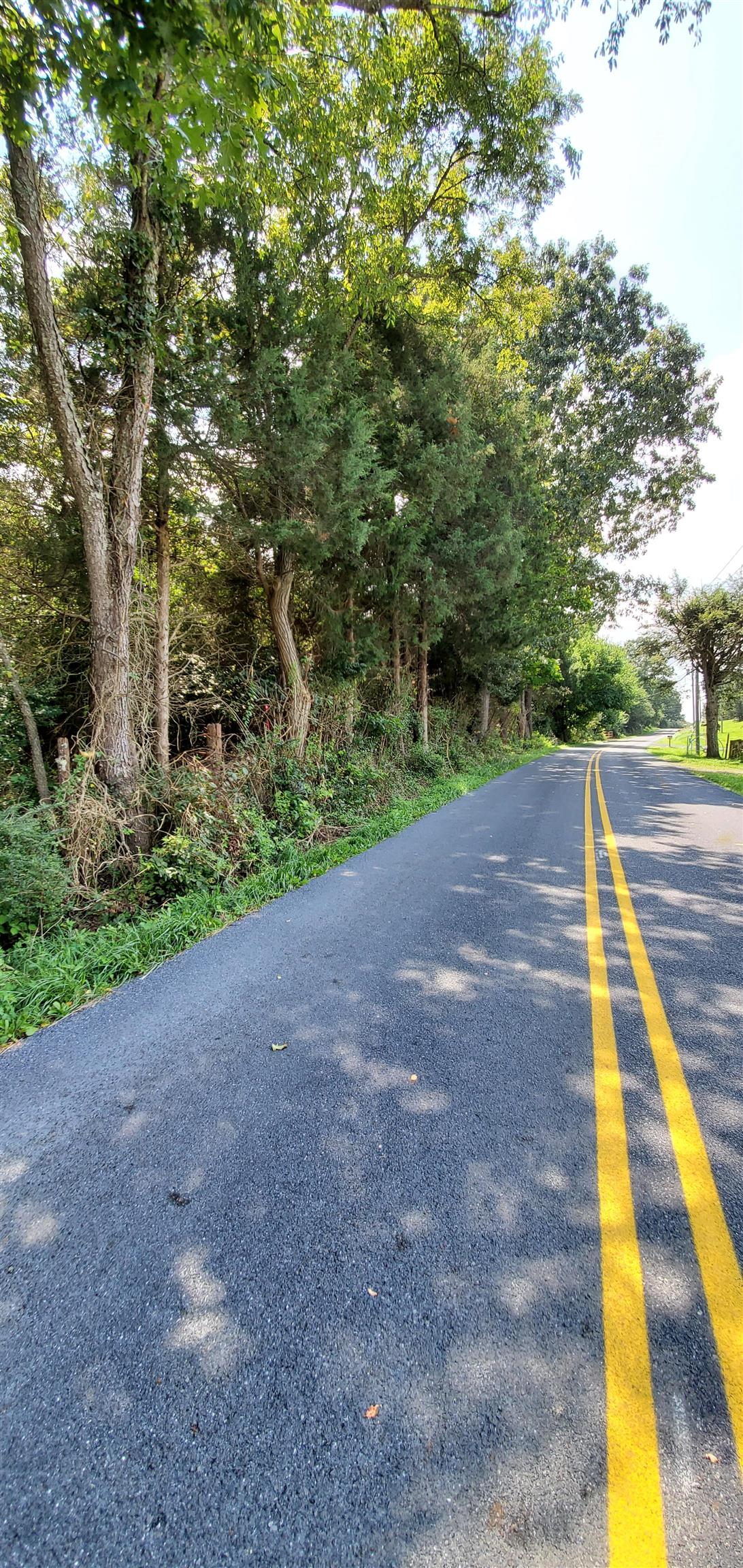 4-crown Ridge Berry Farm Road Verona, VA 24482 - Photo 26 of 39 a view of yard with green space