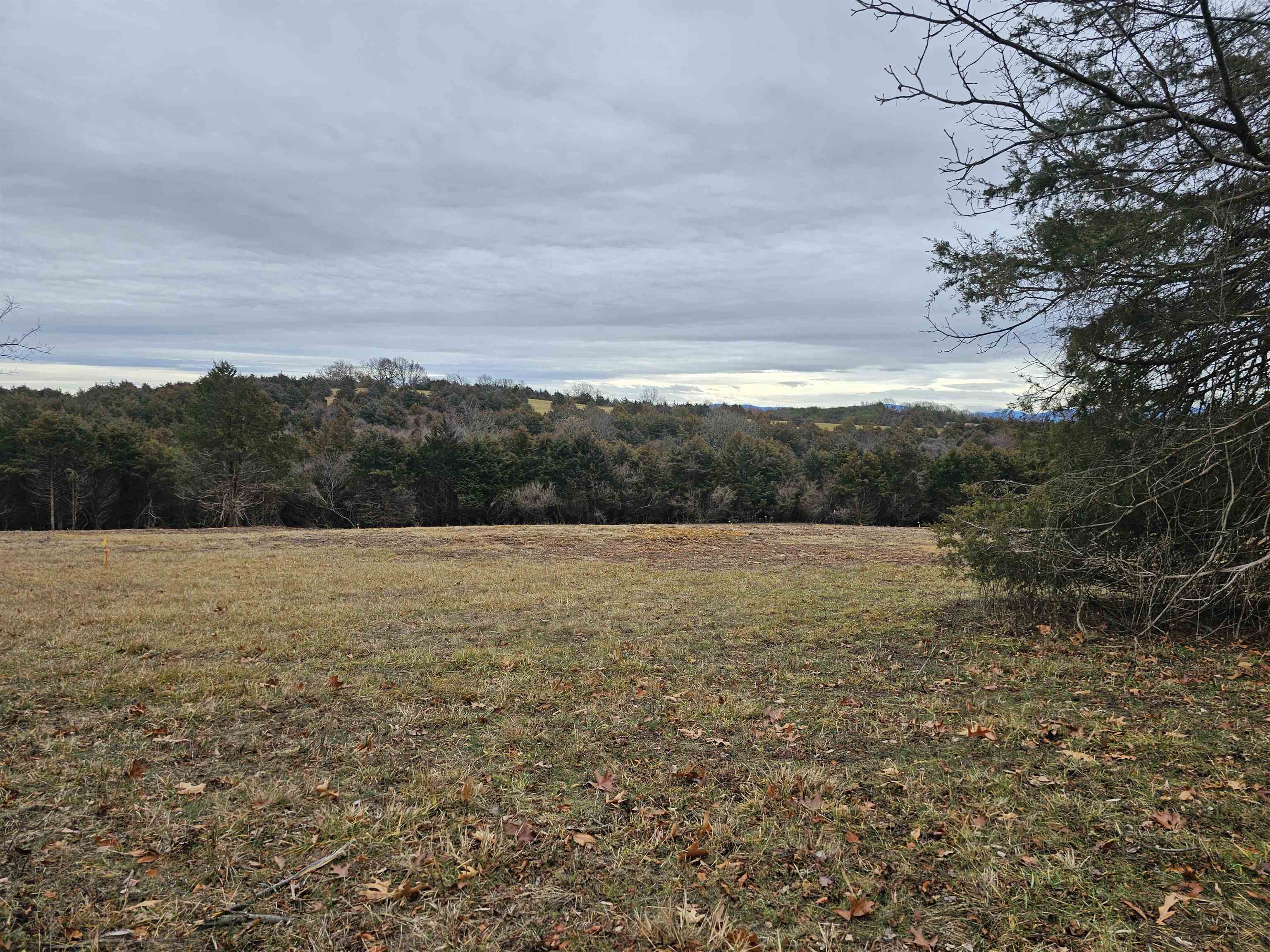 4-crown Ridge Berry Farm Road Verona, VA 24482 - Photo 29 of 39 a view of lake with mountain