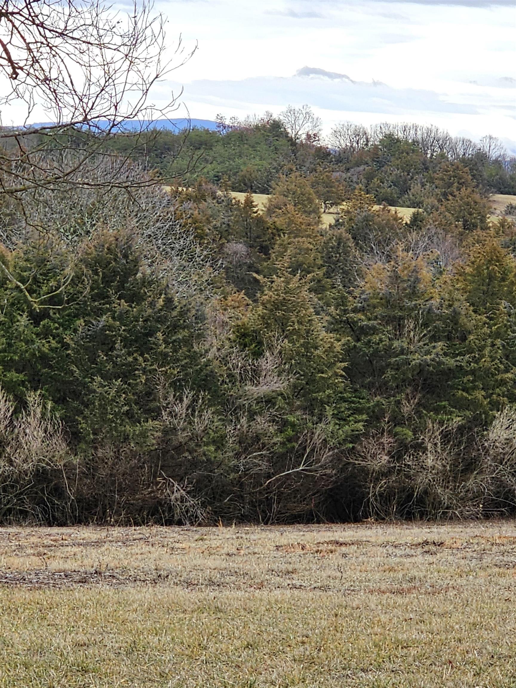 4-crown Ridge Berry Farm Road Verona, VA 24482 - Photo 30 of 39 a view of a yard covered with snow
