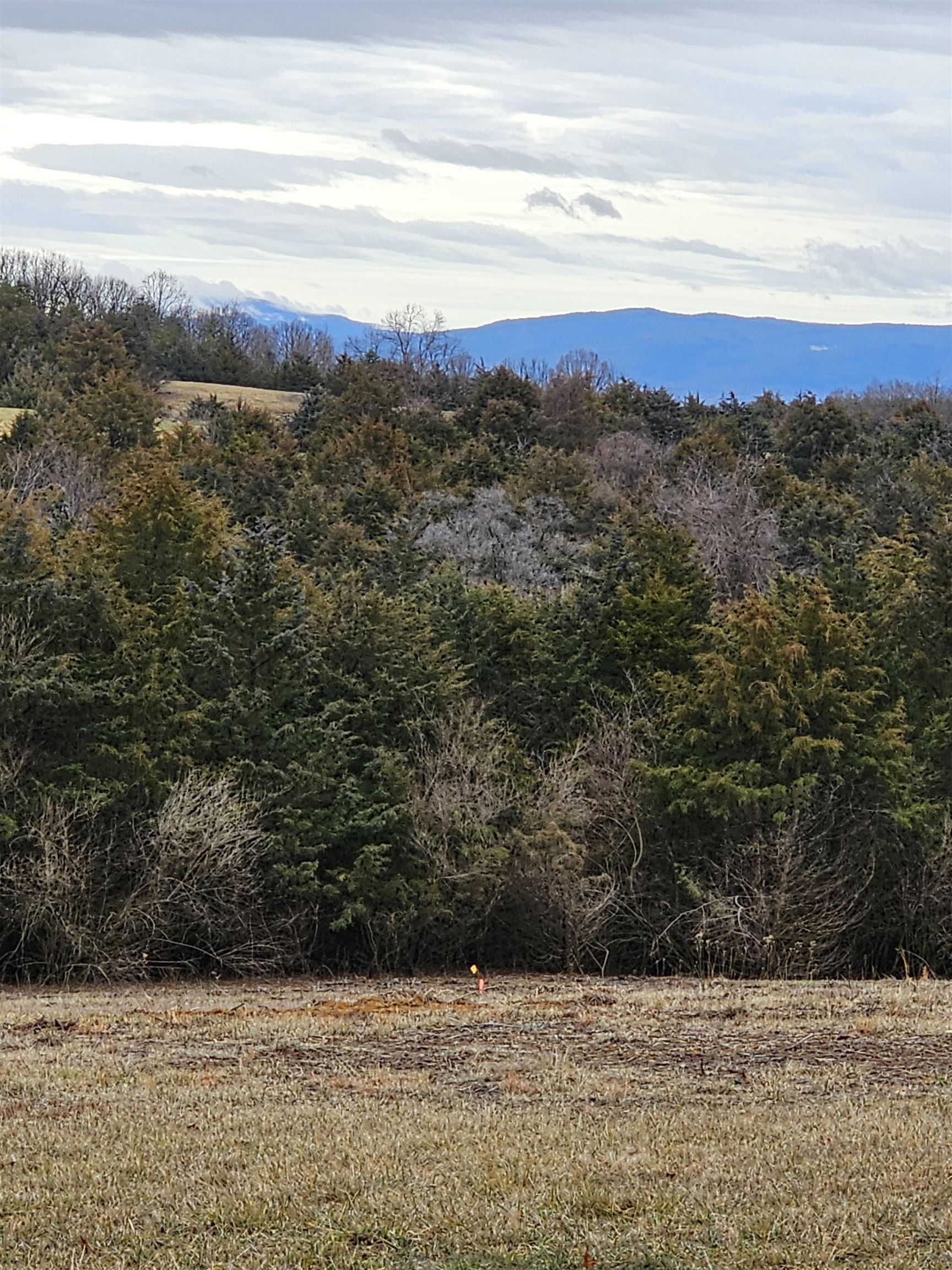 4-crown Ridge Berry Farm Road Verona, VA 24482 - Photo 3 of 39 a view of mountain with sunset view