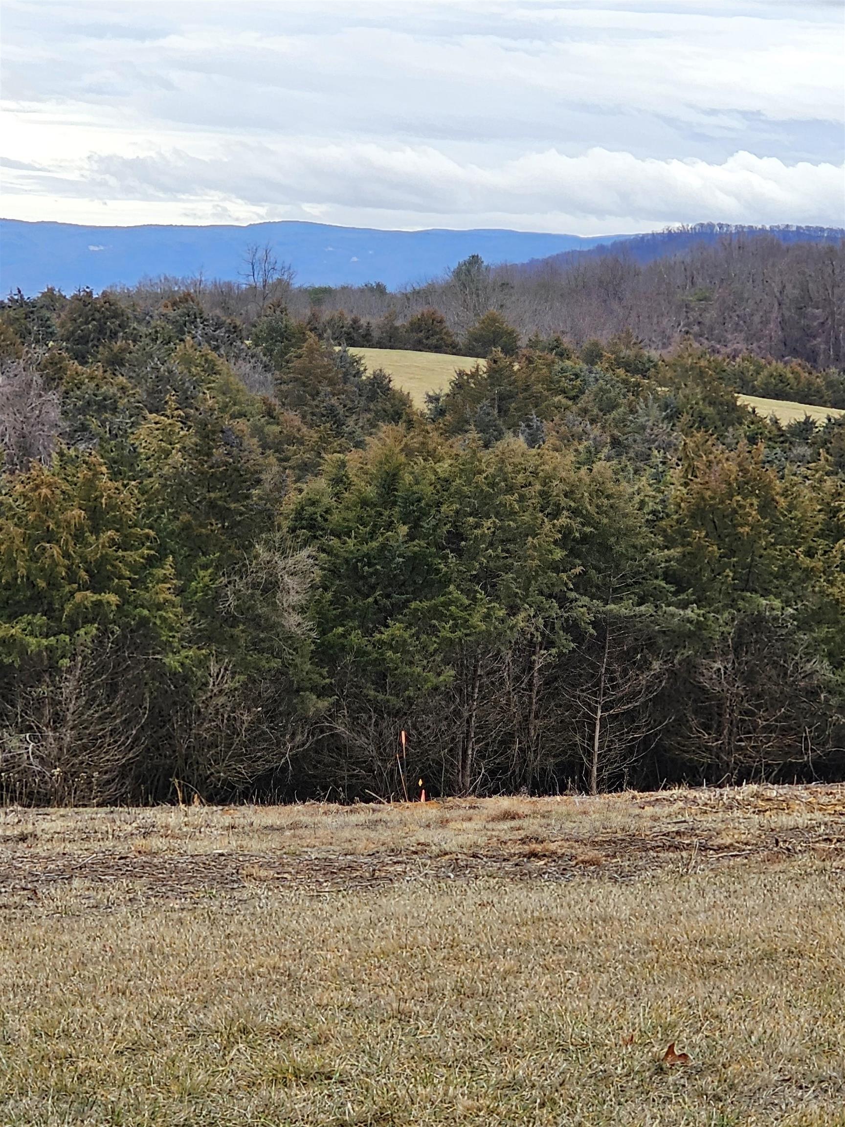 4-crown Ridge Berry Farm Road Verona, VA 24482 - Photo 31 of 39 a view of mountain view and mountain