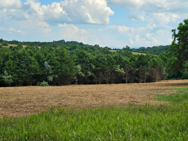 an aerial view of mountain and tree