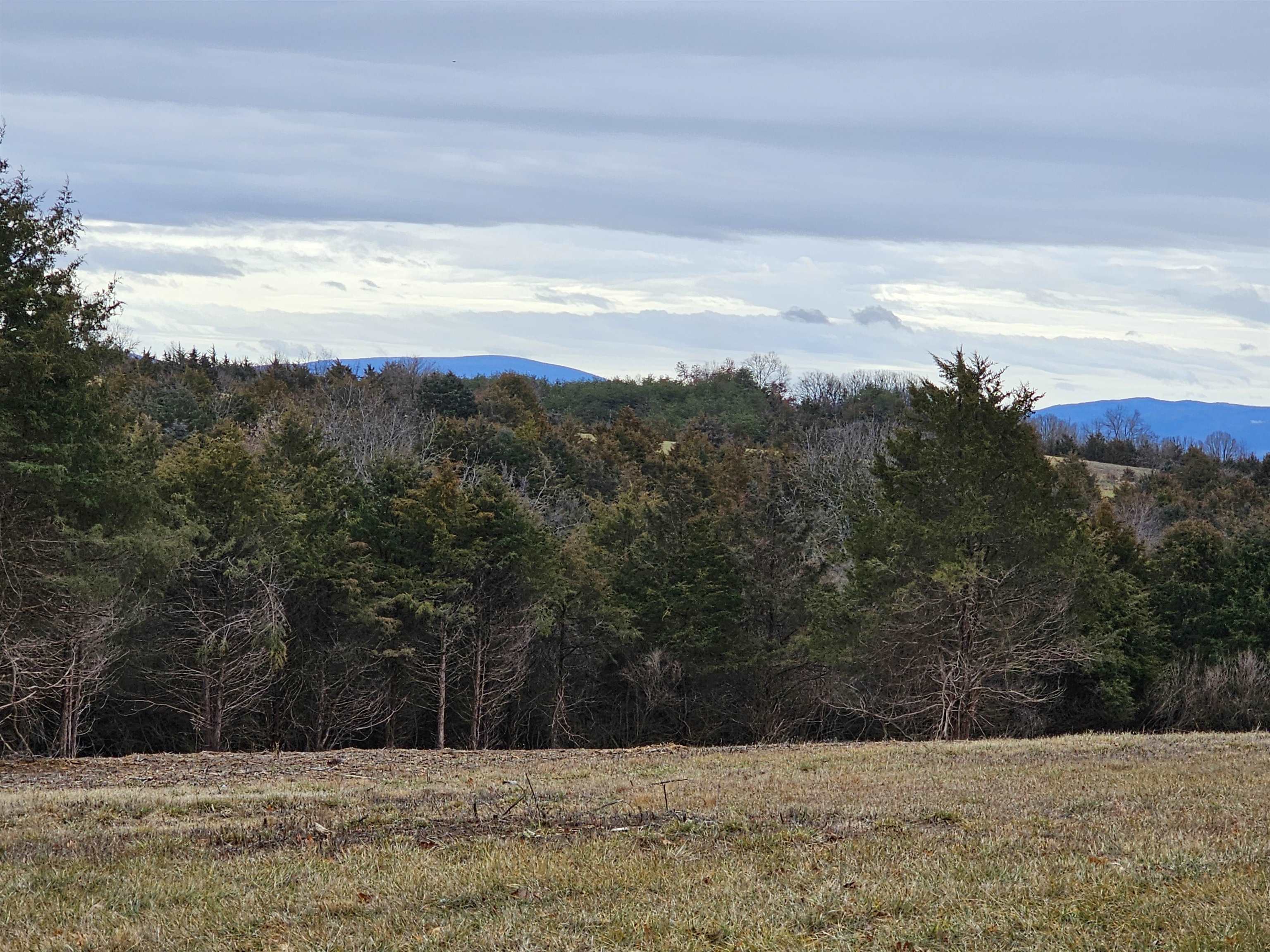 4-crown Ridge Berry Farm Road Verona, VA 24482 - Photo 4 of 39 a view of mountain with sunset view