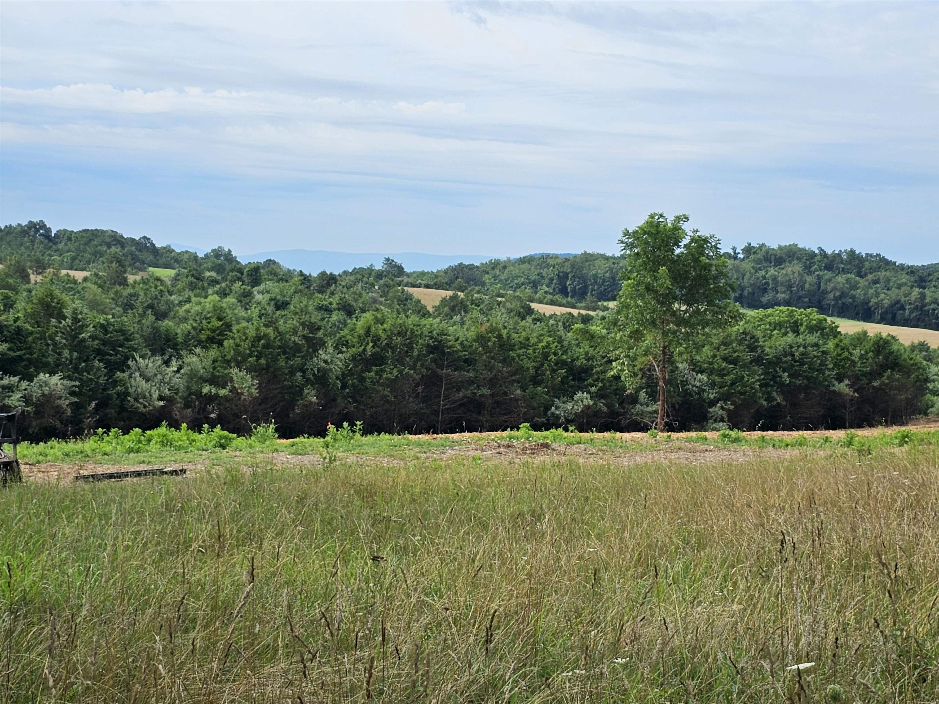 4-crown Ridge Berry Farm Road Verona, VA 24482 - Photo 6 of 39 a view of a big yard with plants and large trees