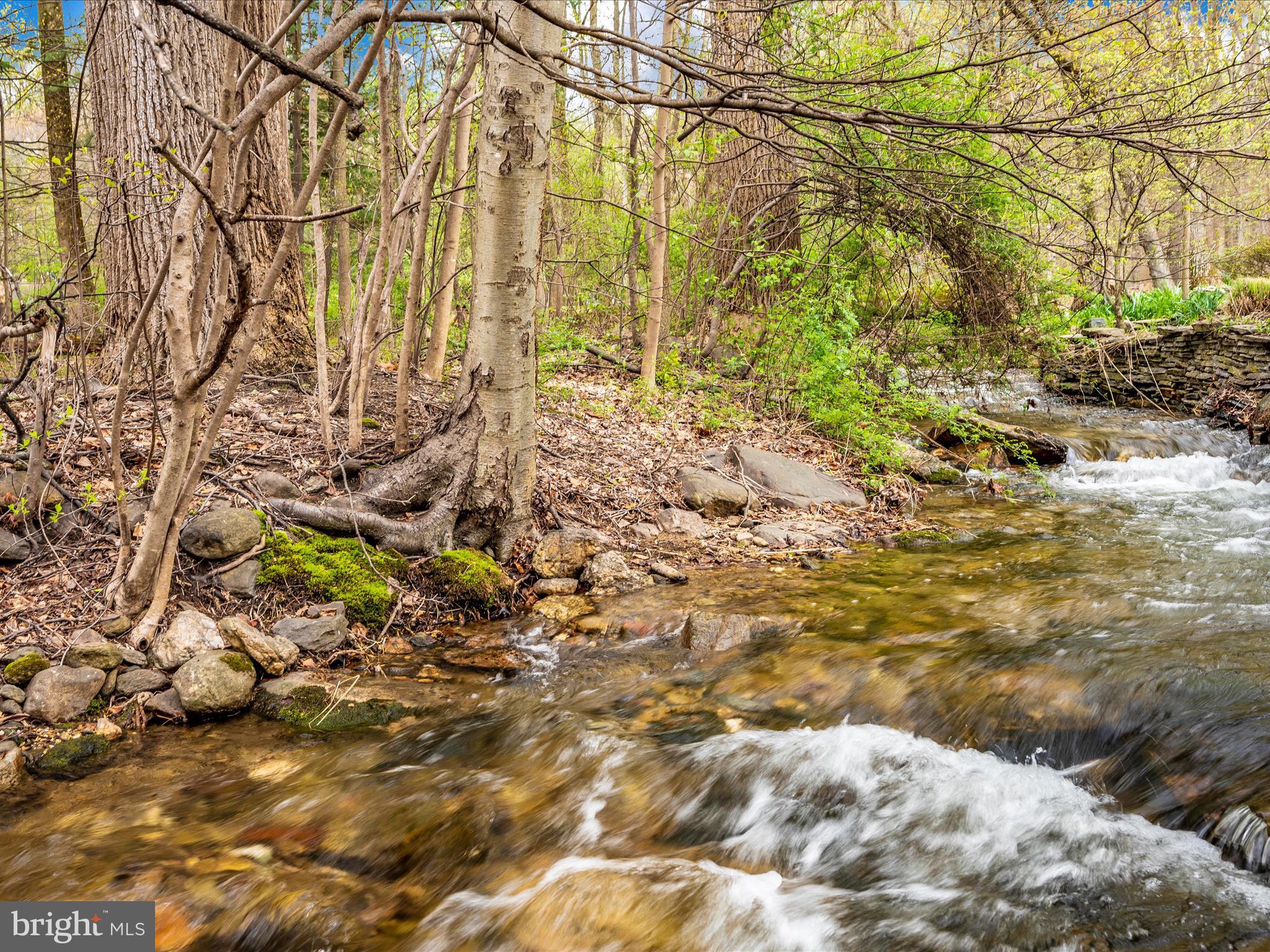 9126 Bethel Road Frederick, MD 21702 - Photo 44 of 57 Creek