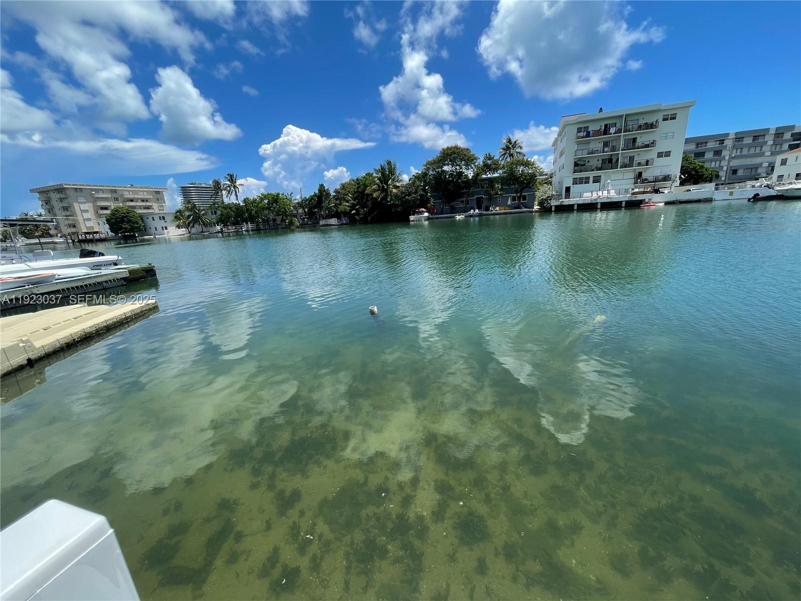8215 Crespi Boulevard, Unit 4 Miami Beach, FL 33141 - Photo 23 of 34 a view of a lake with houses