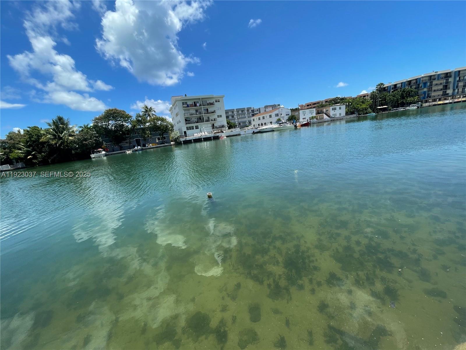 8215 Crespi Boulevard, Unit 4 Miami Beach, FL 33141 - Photo 25 of 34 a view of a lake with houses in the back
