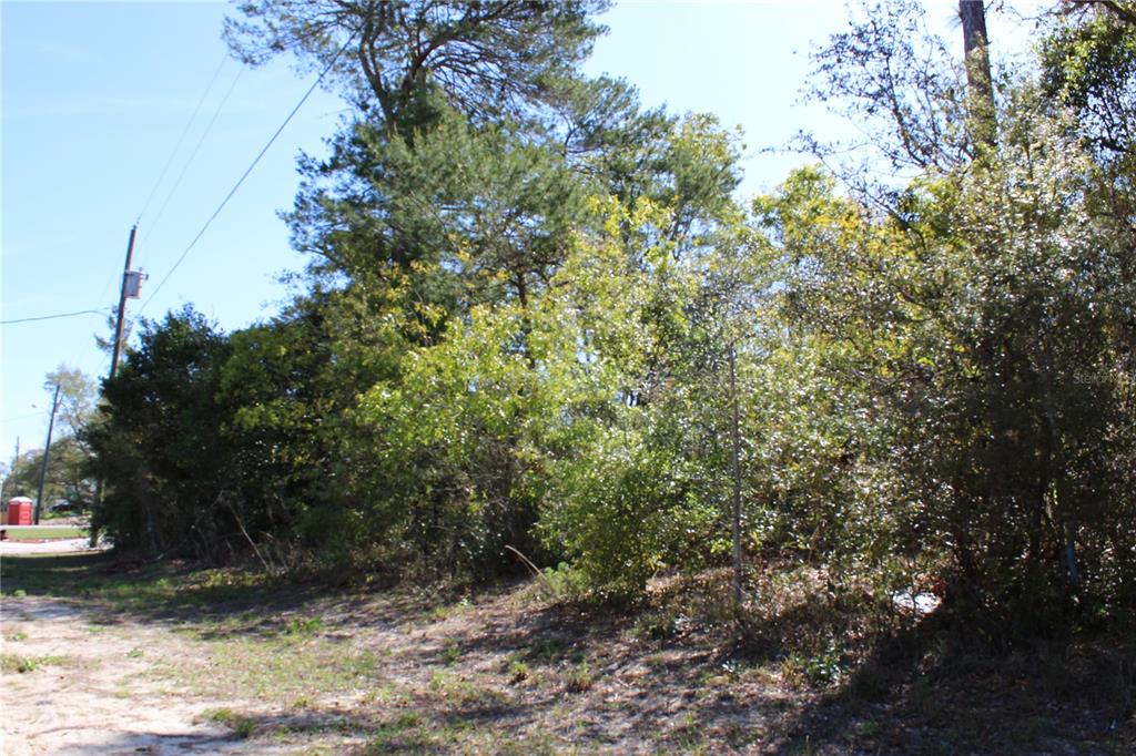 Cranston St Spring Hill Spring Hill, FL 34608 - Photo 1 of 1