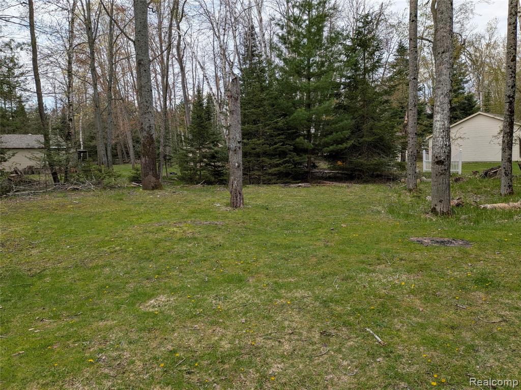 4365 Norway Road Lincoln, MI 48742 - Photo 22 of 25