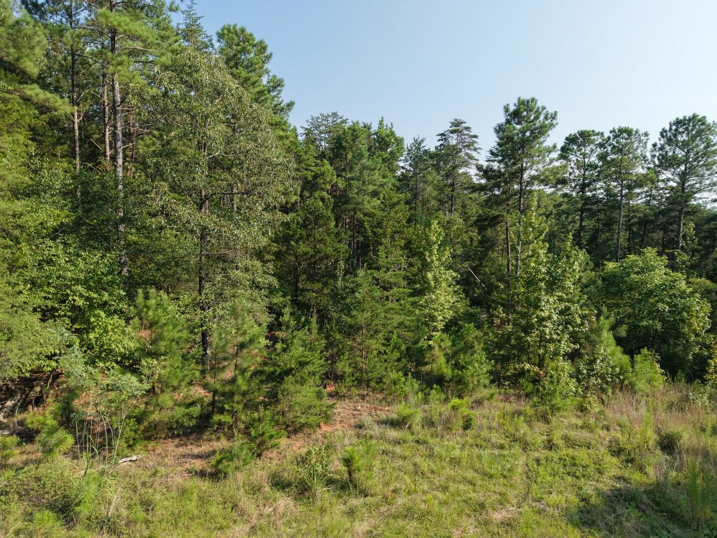 3096 State Rd S-20-33, Unit 4 Blair, SC 29015 - Photo 17 of 32 DJI_20260811173056_0340_D (Large)
