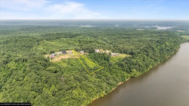 a view of a lake with a city