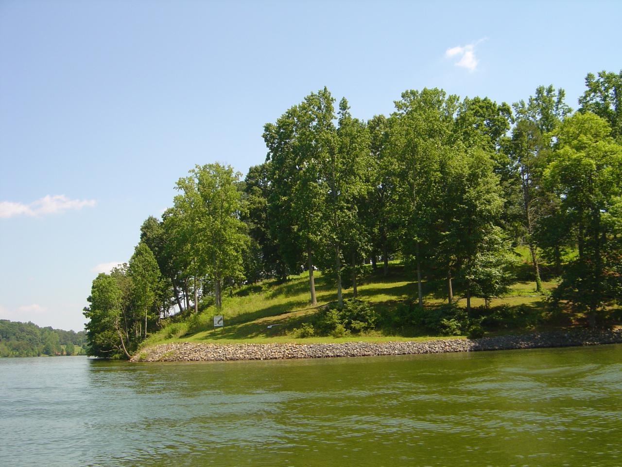 Point Lot- 388' Waterfrontage