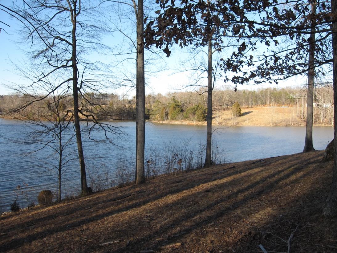 View from lot 1