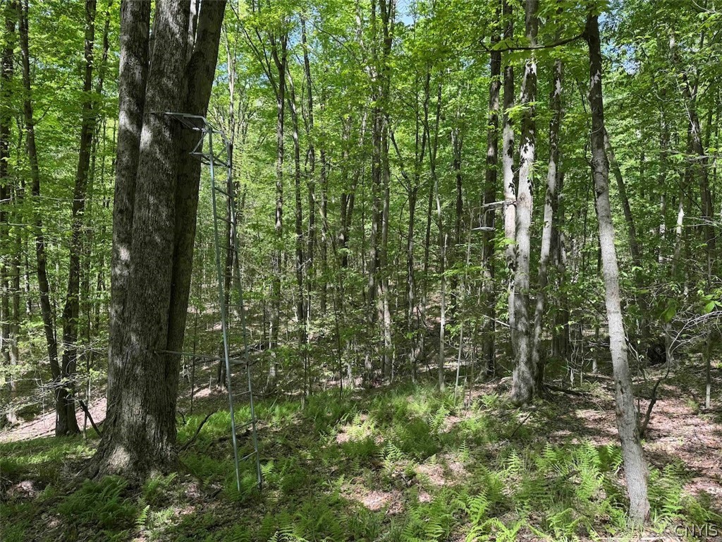 774 Bent Dipper Road Genesee, NY 14721 - Photo 41 of 46