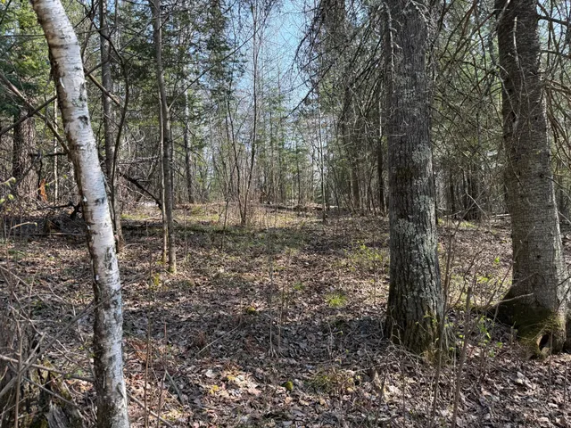$325,000 | 6041 Voyageur's Trail, Biwabik, MN 55705