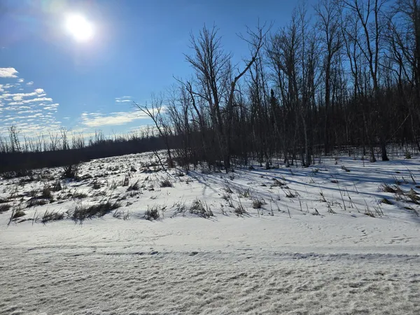 $98,500 | Xxx Stevens Road, Onamia, MN 56359