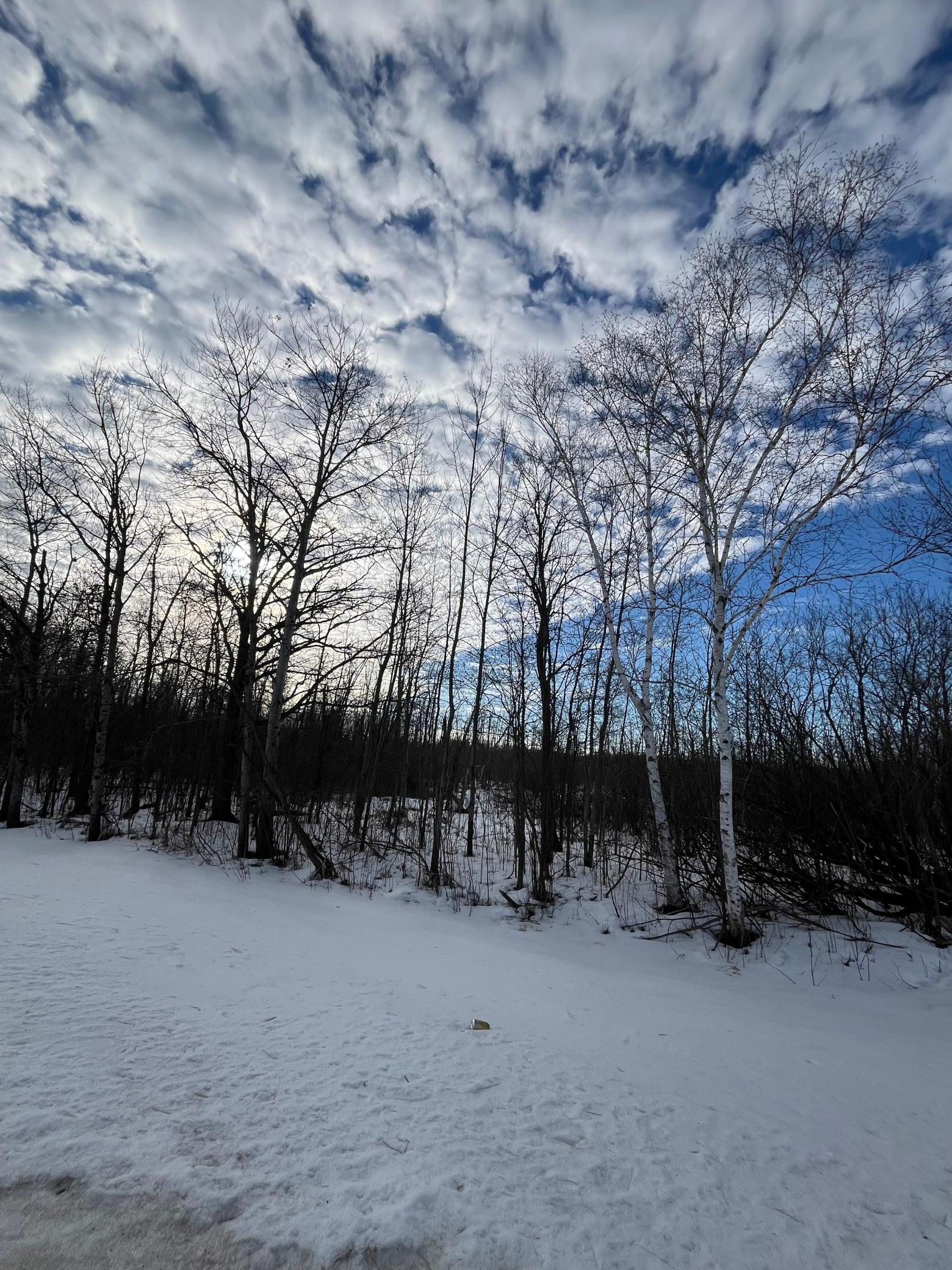 Xxx Stevens Road Onamia, MN 56359 - Photo 8 of 8