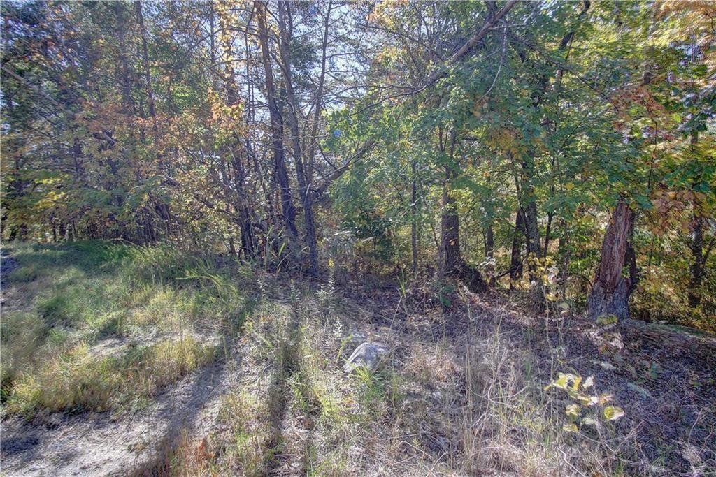 169 Jasmine Drive Ranger, GA 30734 - Photo 34 of 61