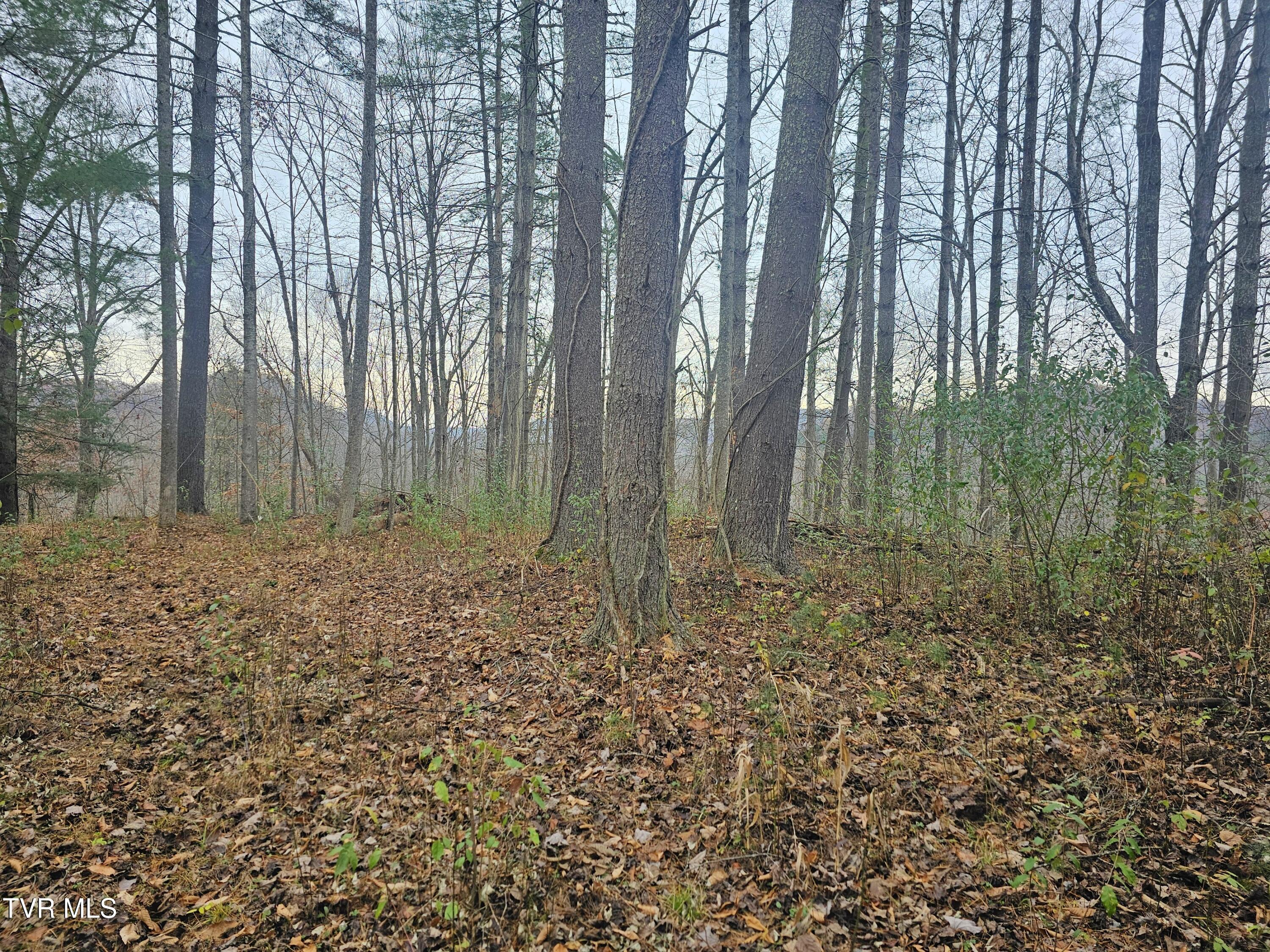 0 Bold Camp Road Pound, VA 24279 - Photo 14 of 21 top of property