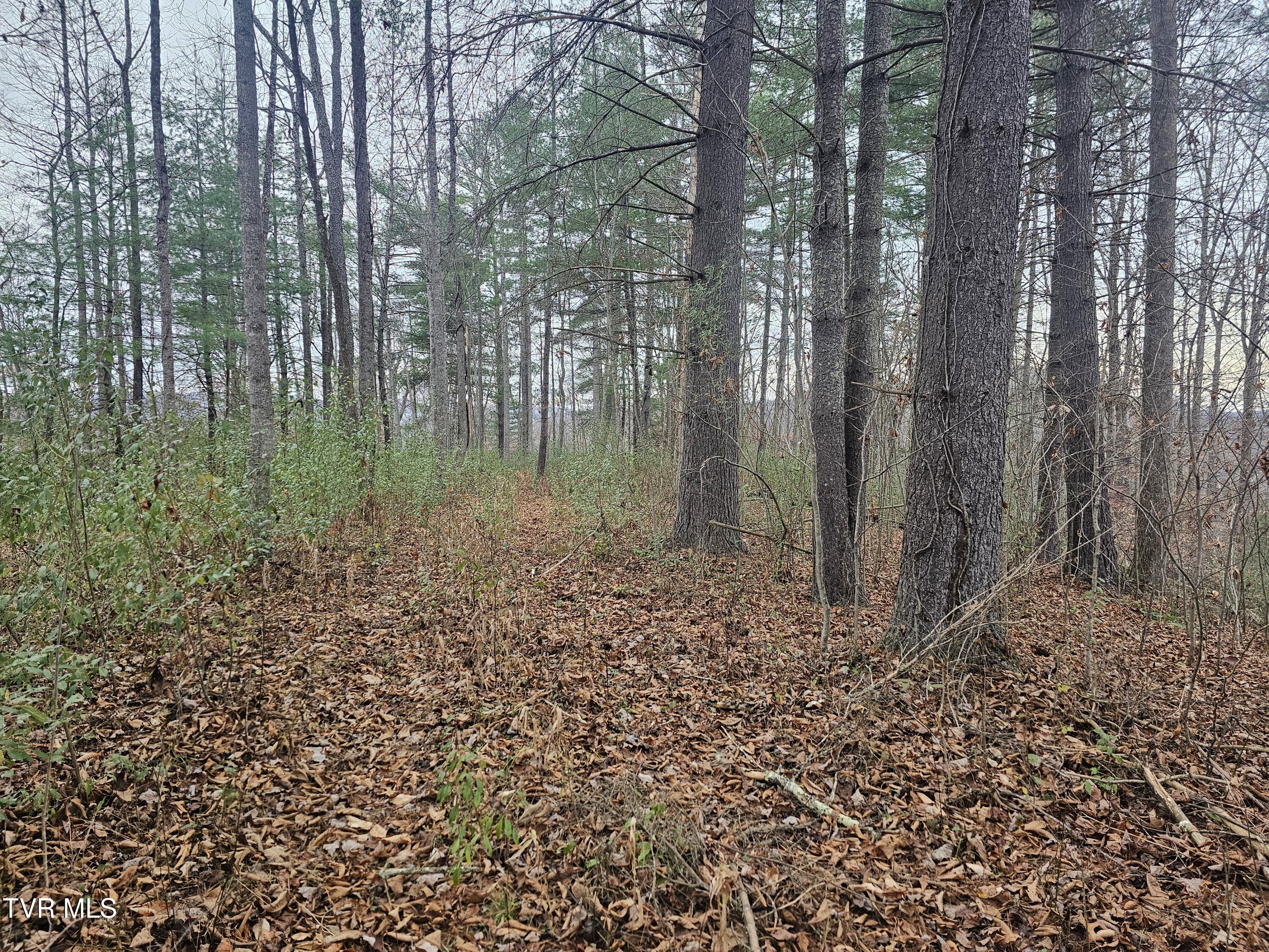 0 Bold Camp Road Pound, VA 24279 - Photo 15 of 21 top of property