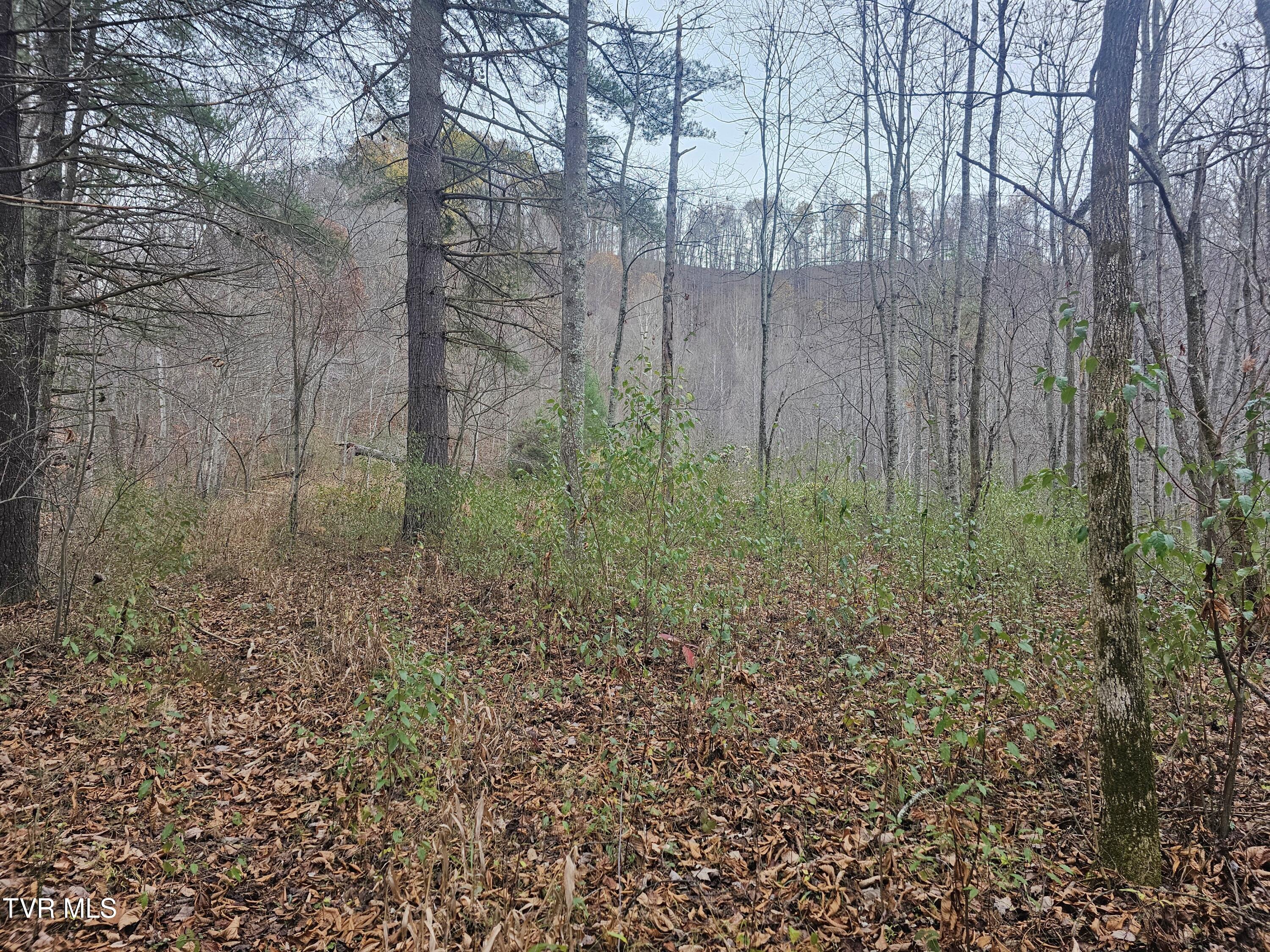 0 Bold Camp Road Pound, VA 24279 - Photo 16 of 21 top of property