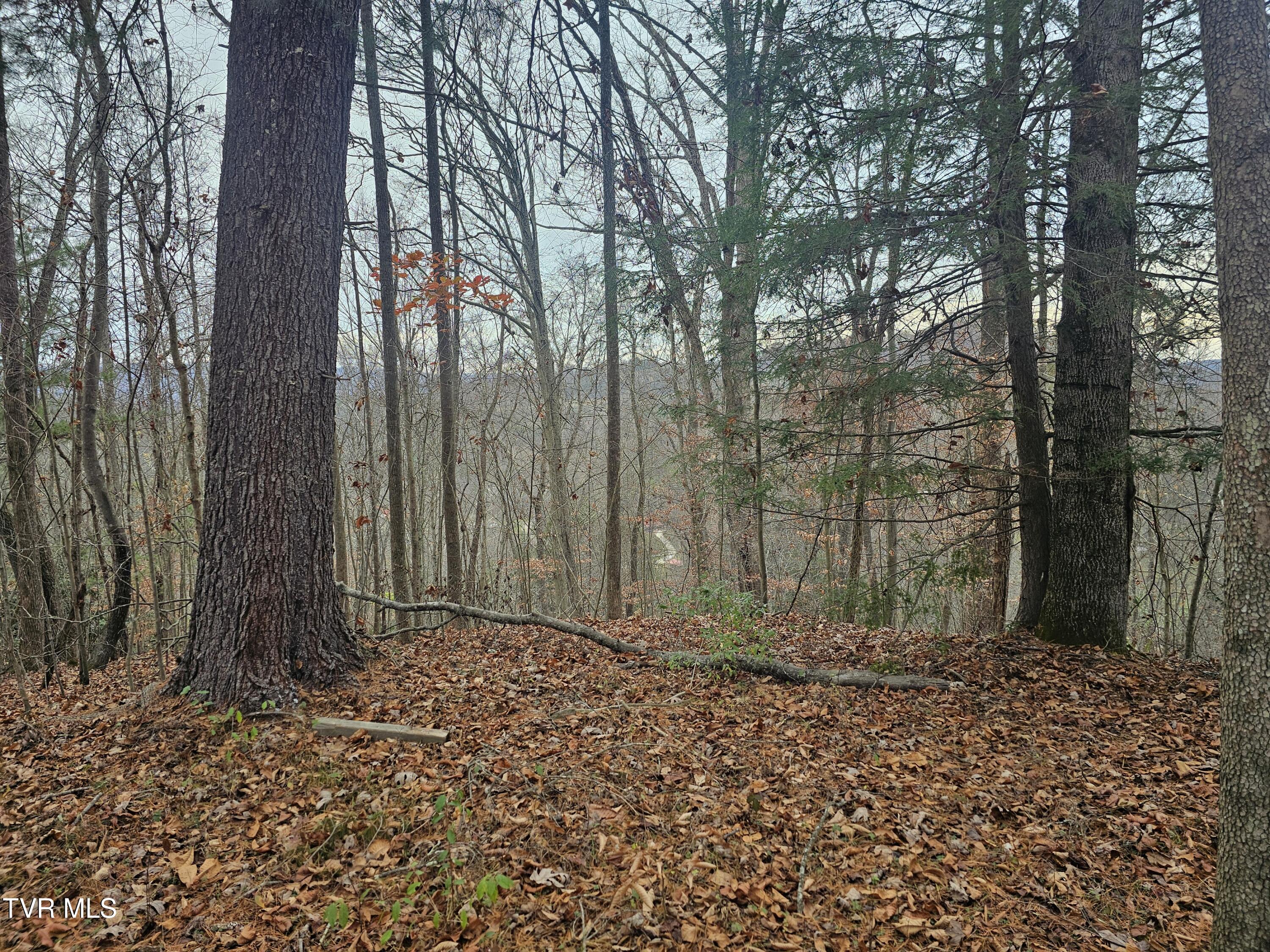 0 Bold Camp Road Pound, VA 24279 - Photo 18 of 21 view, top of property