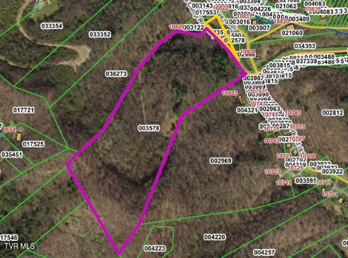 0 Bold Camp Road Pound, VA 24279 - Photo 20 of 21 Wise County GIS, 2023 aerial view