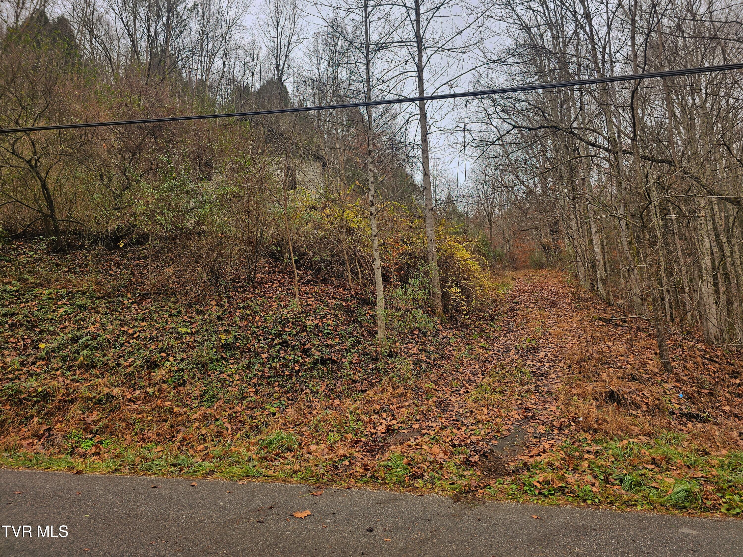 0 Bold Camp Road Pound, VA 24279 - Photo 3 of 21 acces road from main road