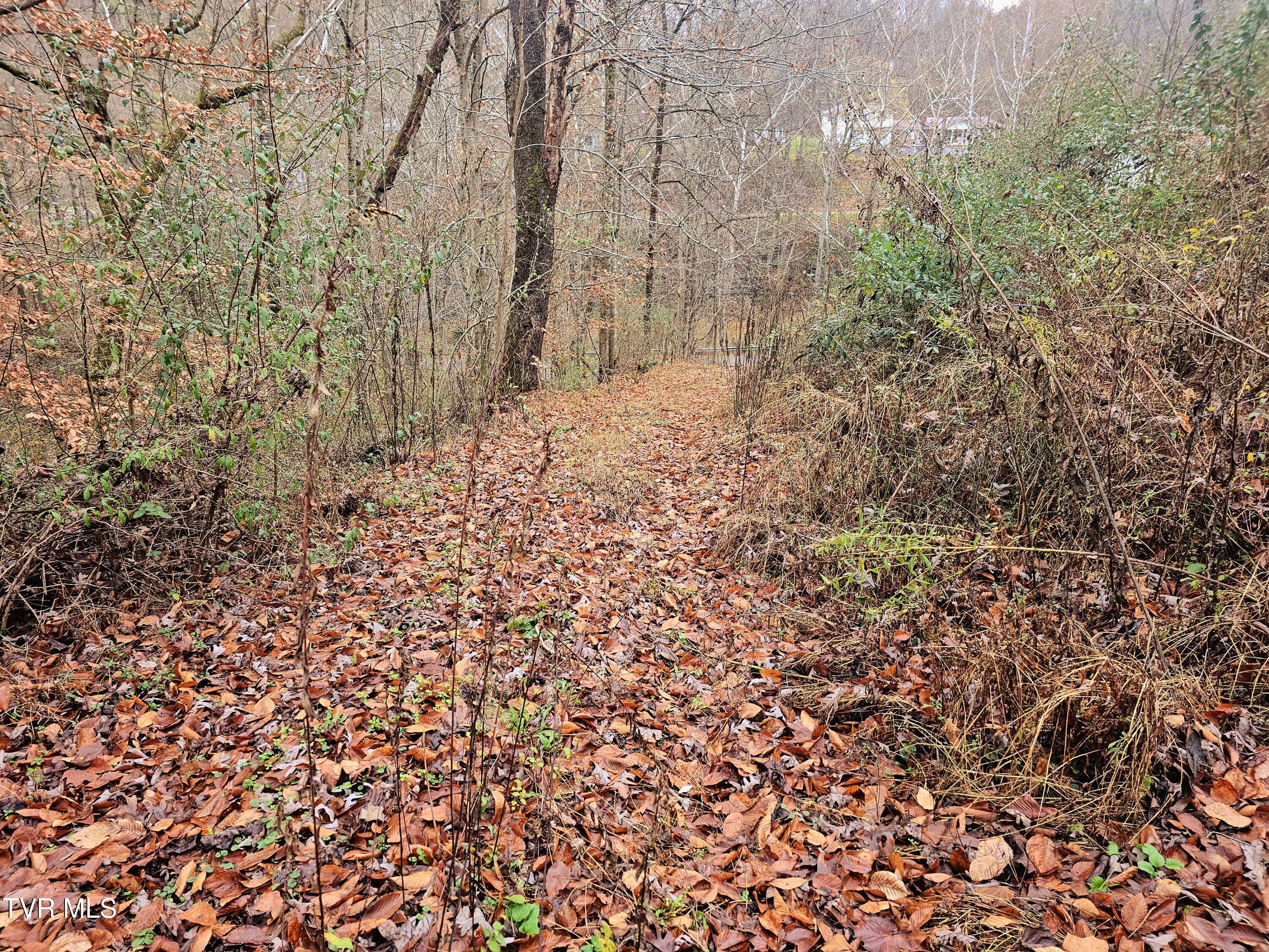 0 Bold Camp Road Pound, VA 24279 - Photo 8 of 21 access road
