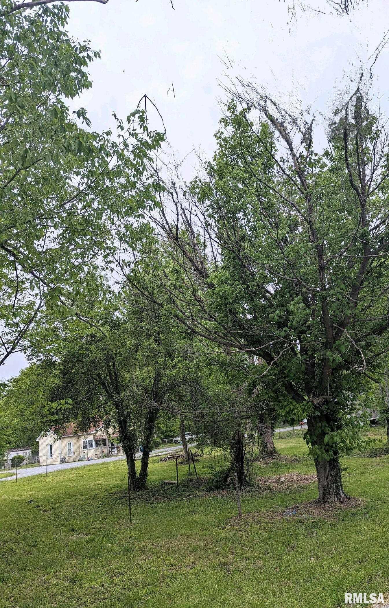 200 Madison Colp, IL 62918 - Photo 13 of 13