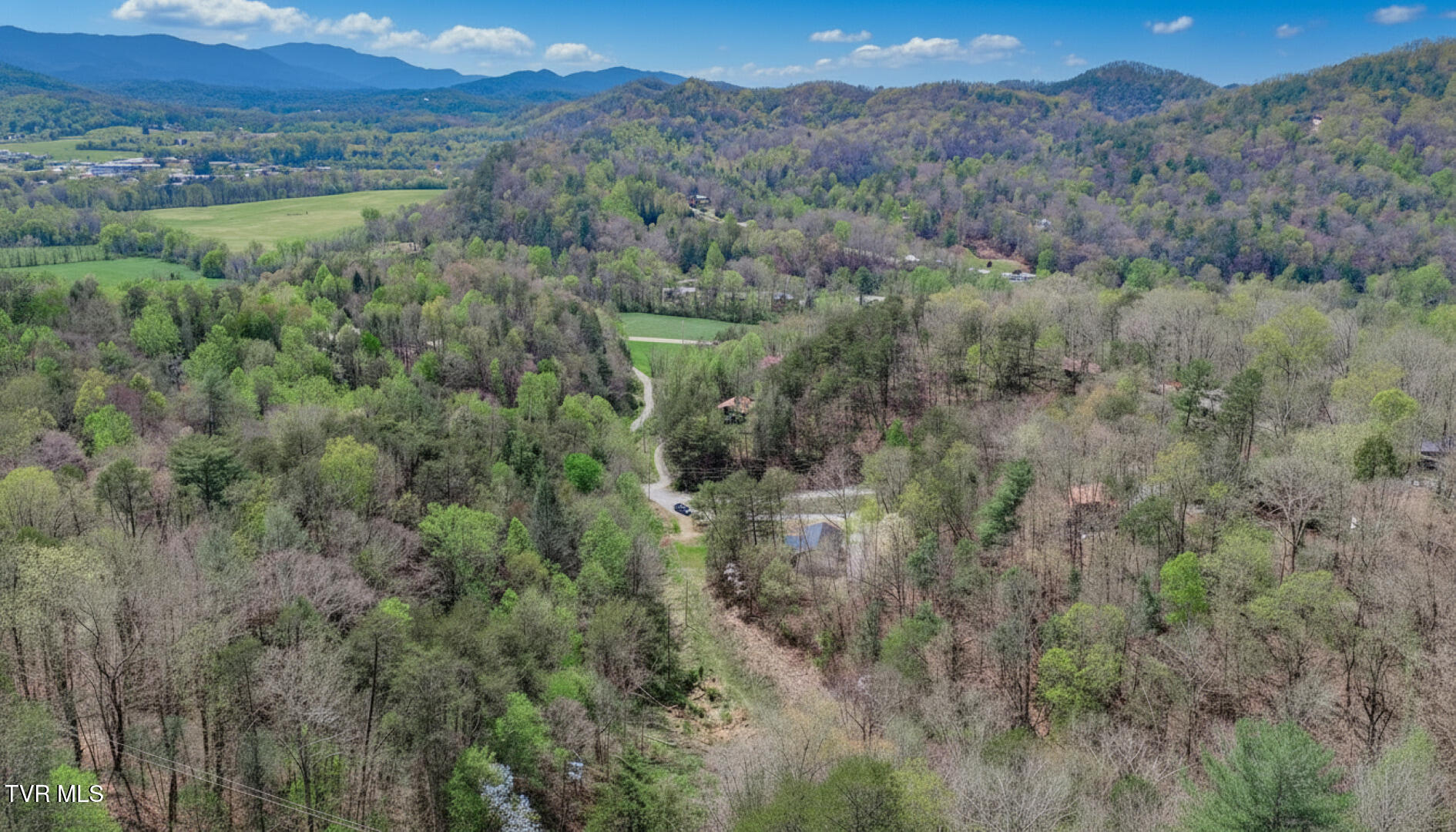 3040 Winding Way Cosby, TN 37722 - Photo 36 of 40 29ai