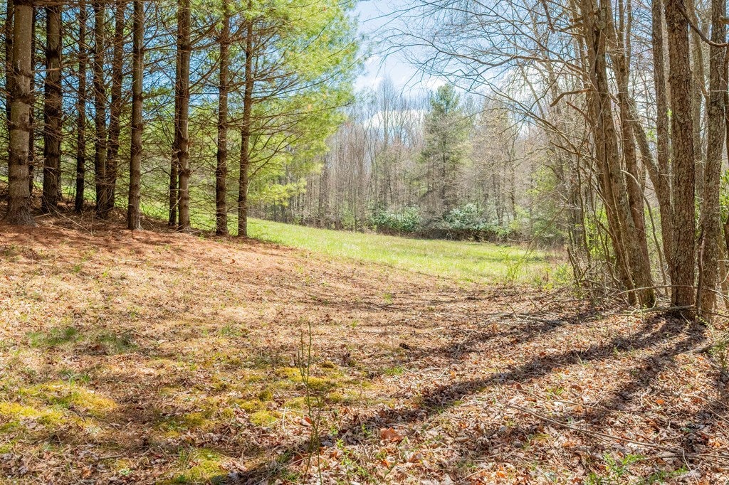 0 Windsor Road Northwest, Unit 3 Willis, VA 24380 - Photo 28 of 47 Gallery Image 28