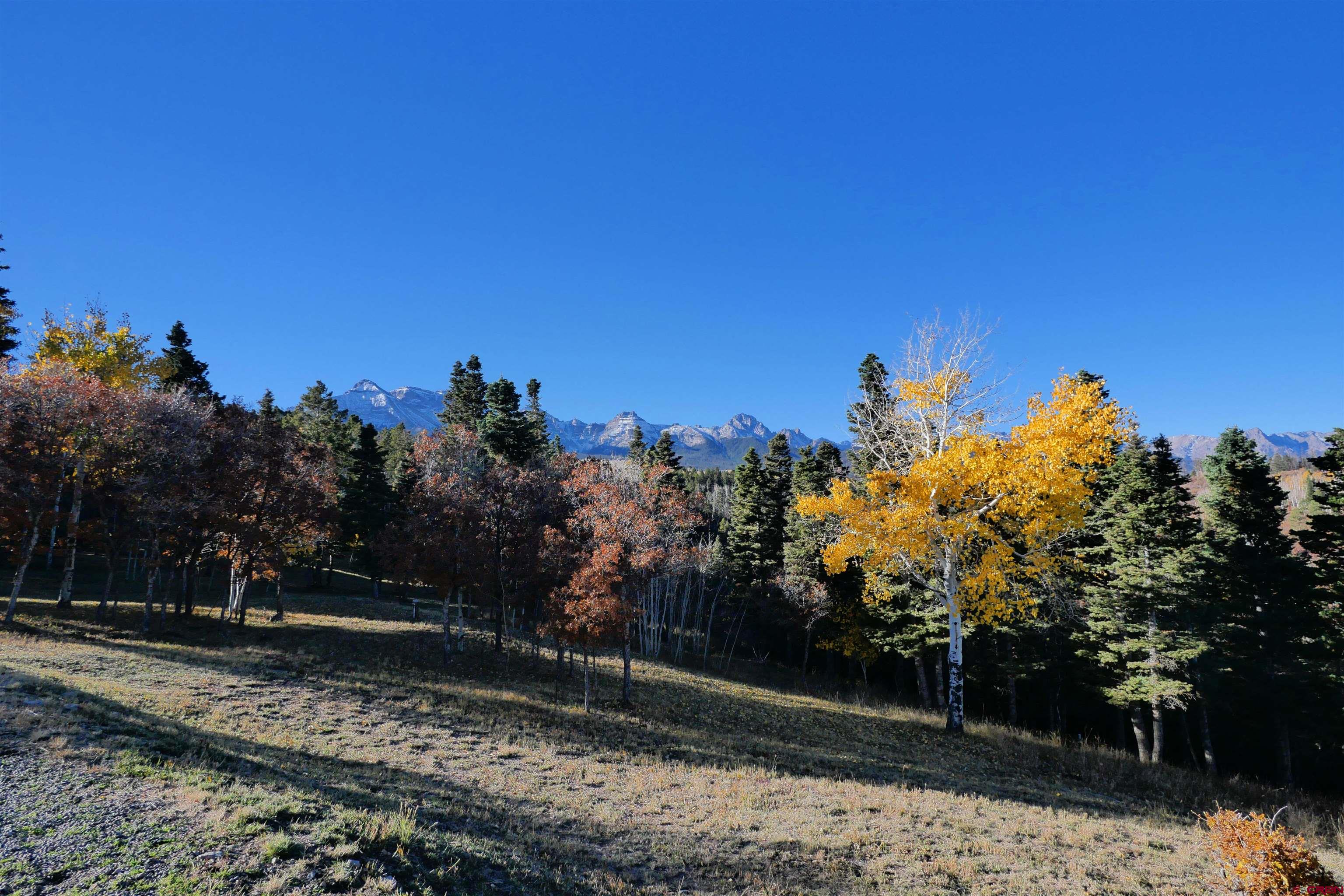 1571 Elk Ridge Trail Ridgway, CO 81432 - Photo 5 of 33 Gallery Image 5