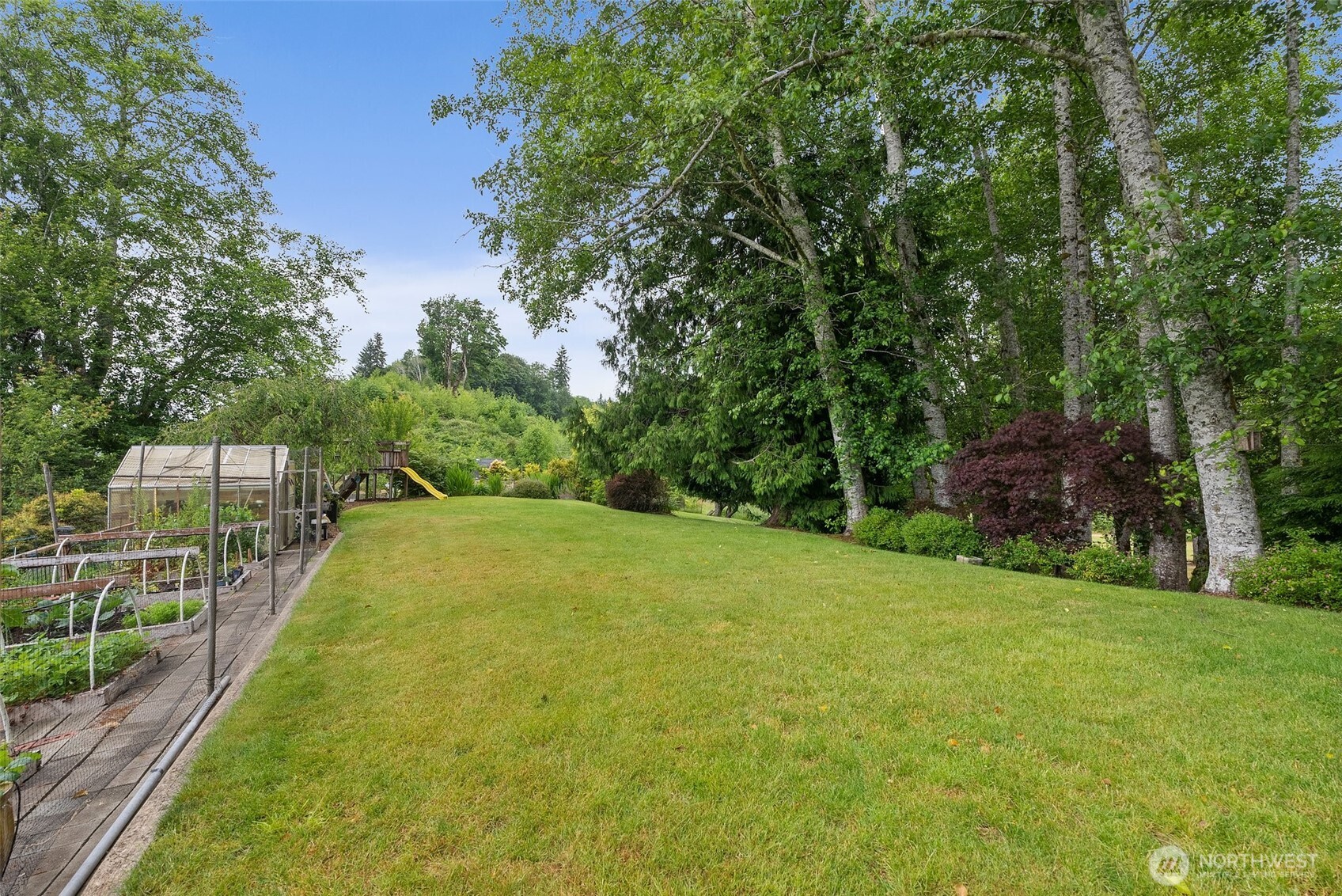 1508 Bloomhardt Road Raymond, WA 98577 - Photo 35 of 40 a view of a yard with a large trees