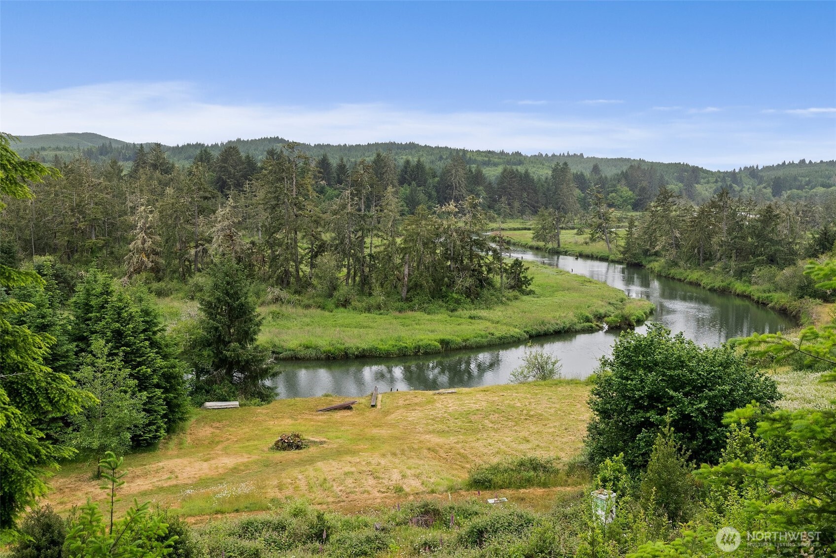 1508 Bloomhardt Road Raymond, WA 98577 - Photo 38 of 40 a view of a lake with a mountain