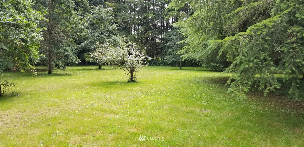 133 Vista Road Chehalis, WA 98532 - Photo 9 of 13