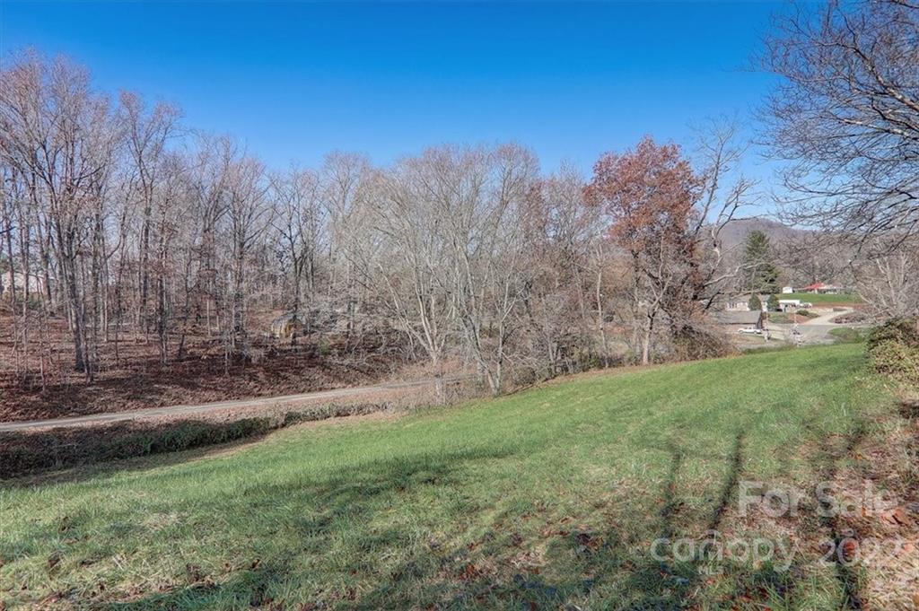 121 Edwards Road Clyde, NC 28721 - Photo 47 of 48 a view of a yard with a tree