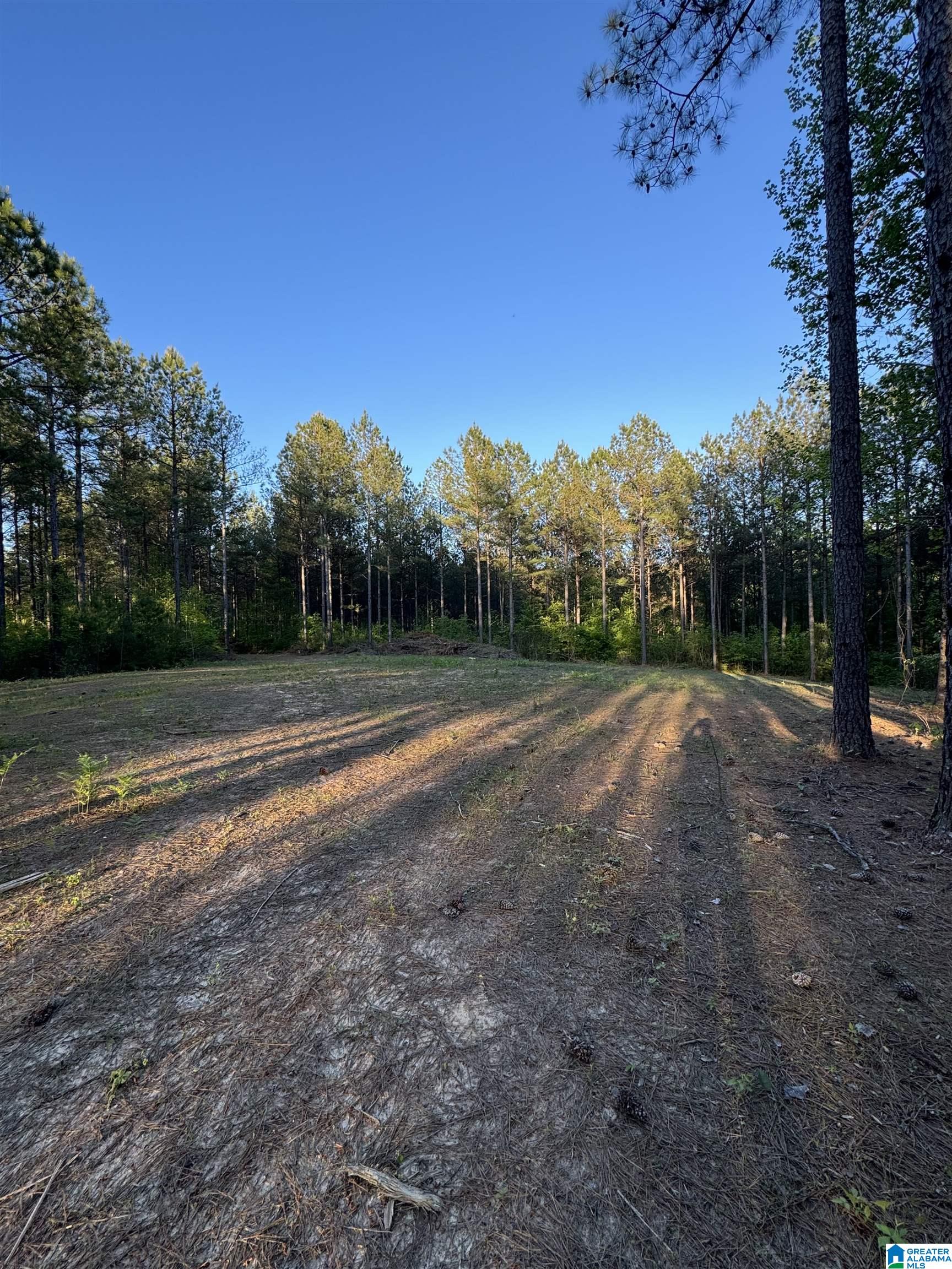 218 Foxtail Path, Unit 11F Sterrett, AL 35147 - Photo 1 of 5