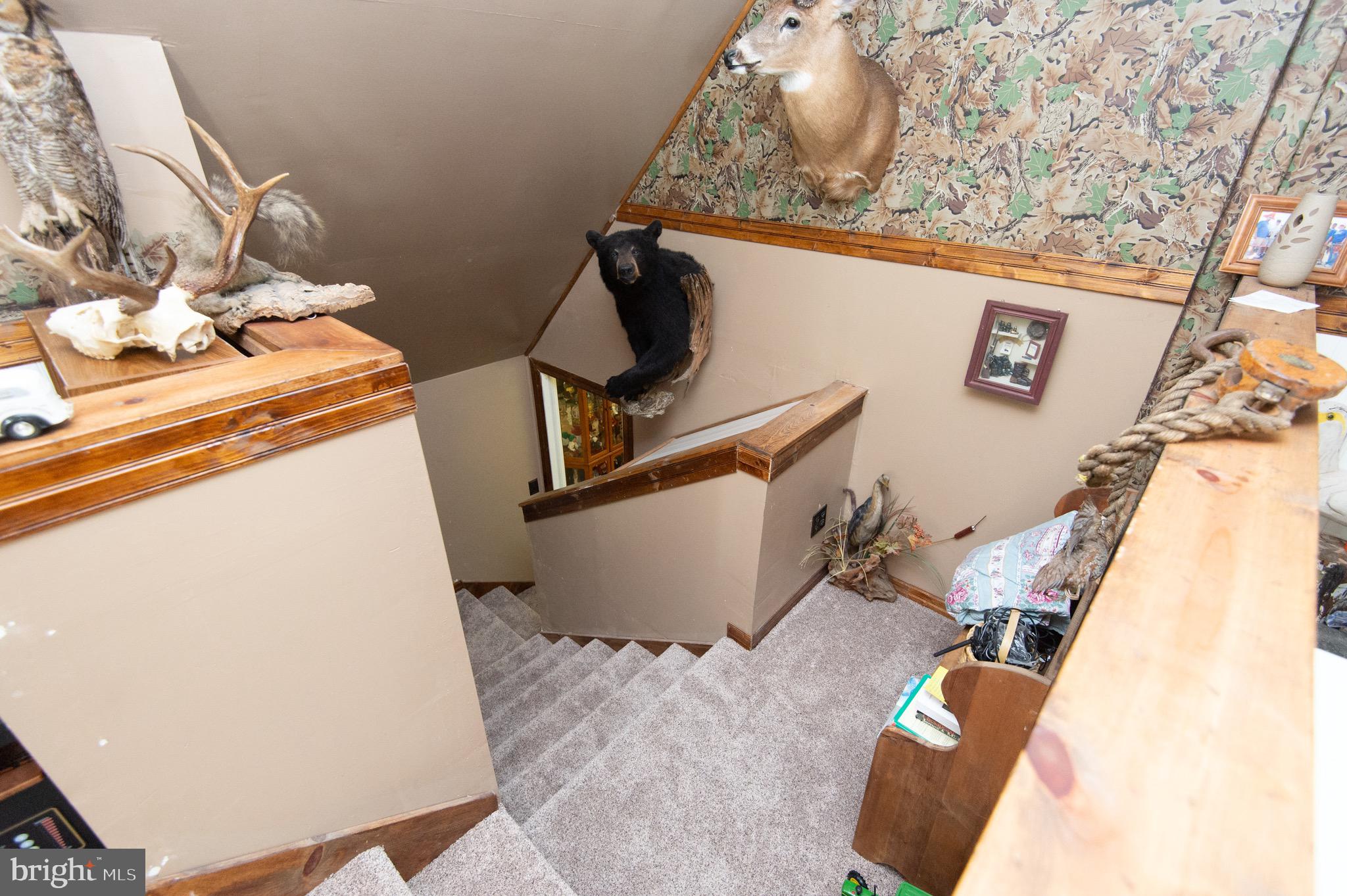 937 Susquehanna Road Madison, MD 21648 - Photo 41 of 61 Gallery Image 41