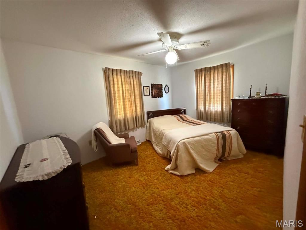 337 East 1st Street Ramsey, IL 62080 - Photo 13 of 17