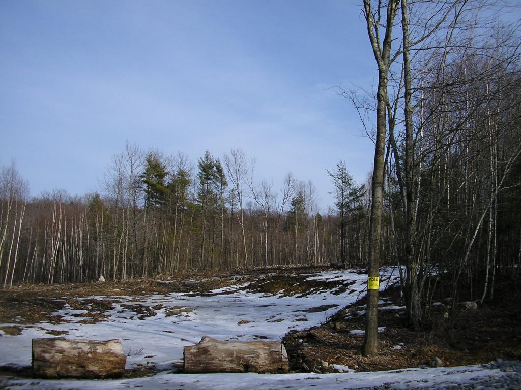 7013 Plummer Hill Road Henniker, NH 03242 - Photo 1 of 4 Gallery Image 1