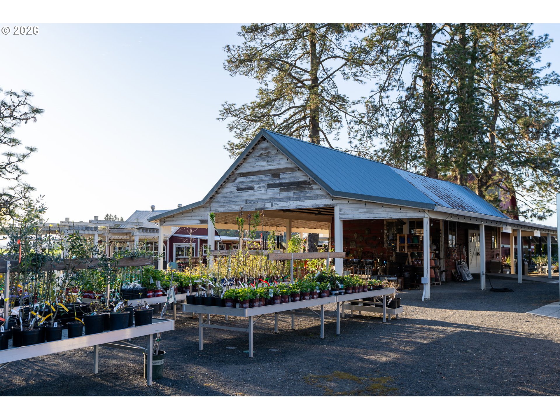 7601 Milne Road Cornelius, OR 97113 - Photo 15 of 48 Gallery Image 15