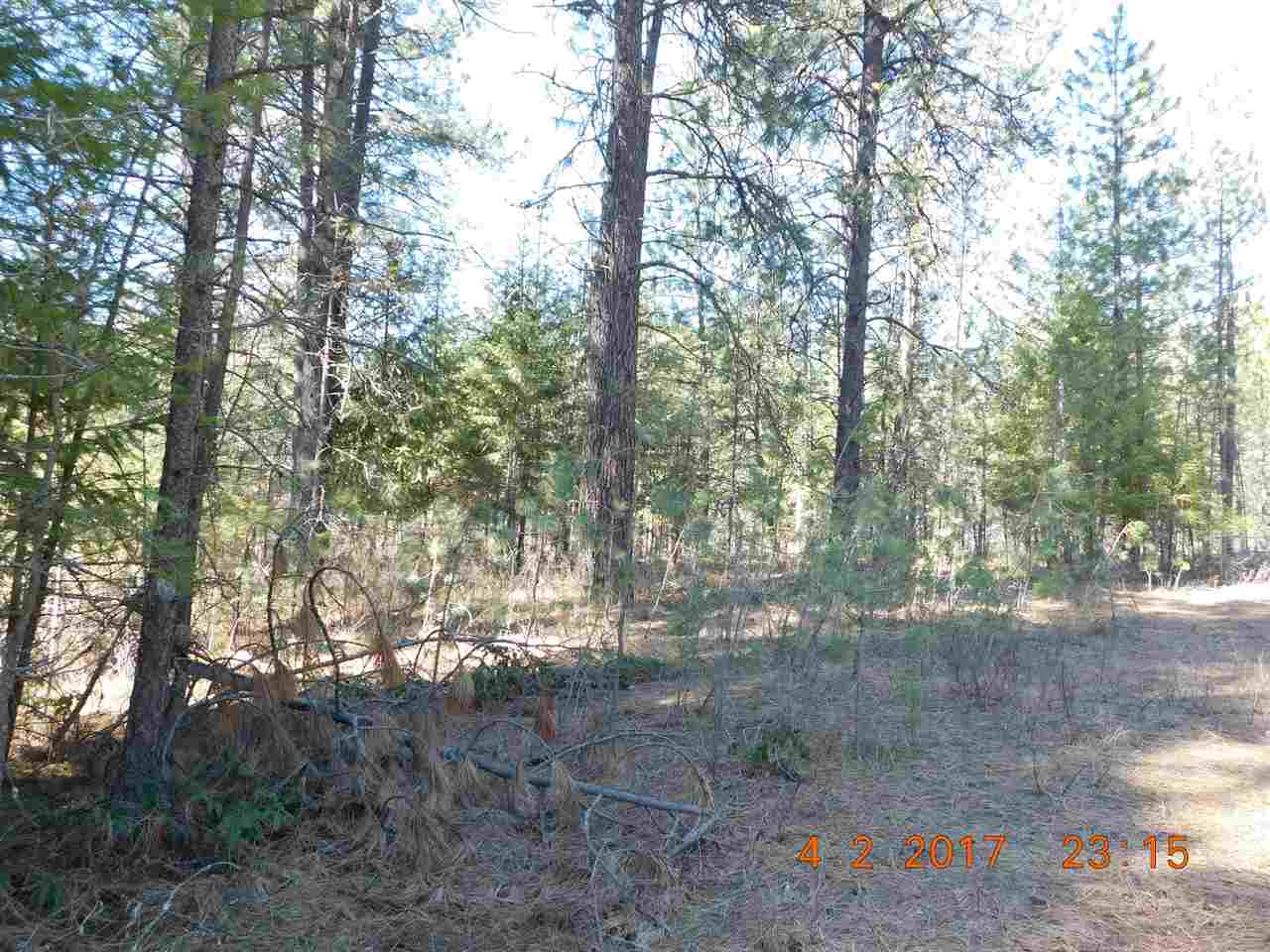 3787 Red Cedar Road Loon Lake, WA 99148 - Photo 11 of 13 Gallery Image 11