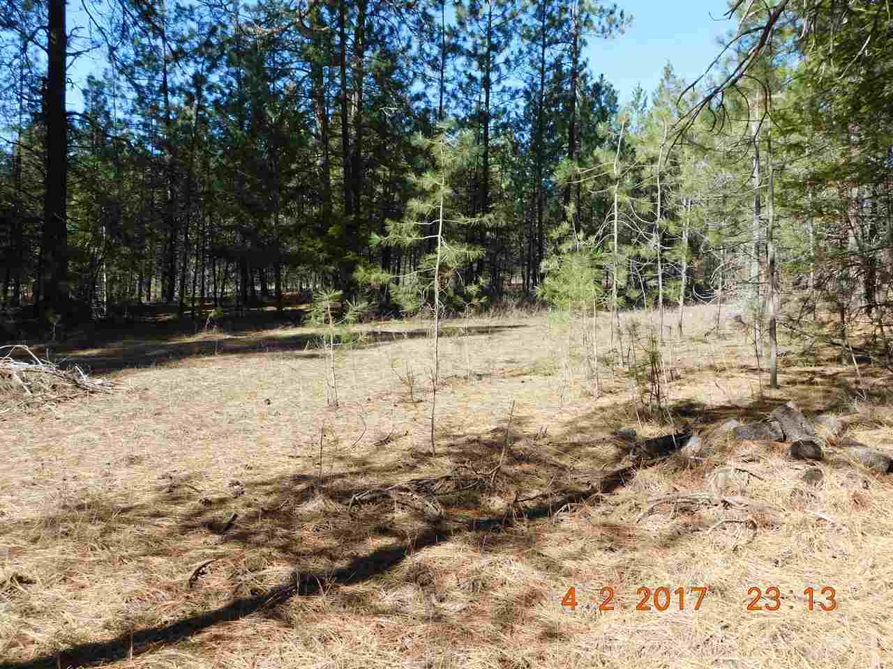 3787 Red Cedar Road Loon Lake, WA 99148 - Photo 12 of 13 Gallery Image 12