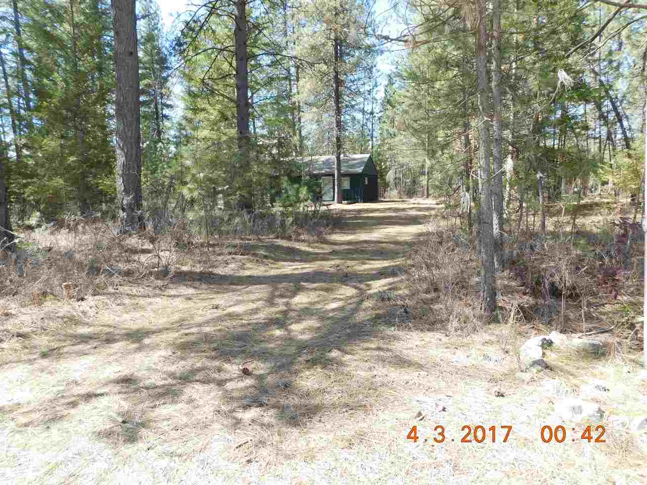 3787 Red Cedar Road Loon Lake, WA 99148 - Photo 13 of 13 Gallery Image 13