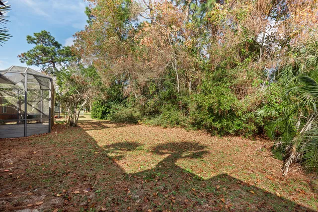 a view of a yard with large trees