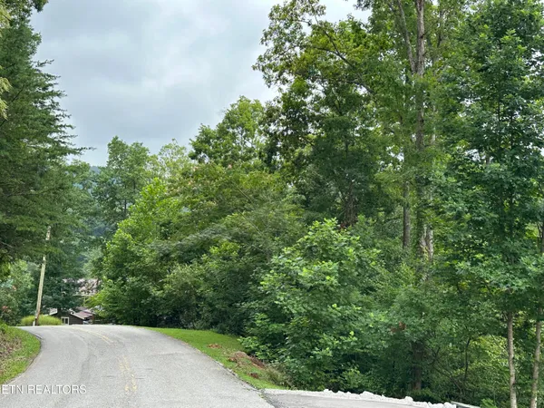 $48,750 | Lot 22 Ridge Road, Caryville, TN 37714