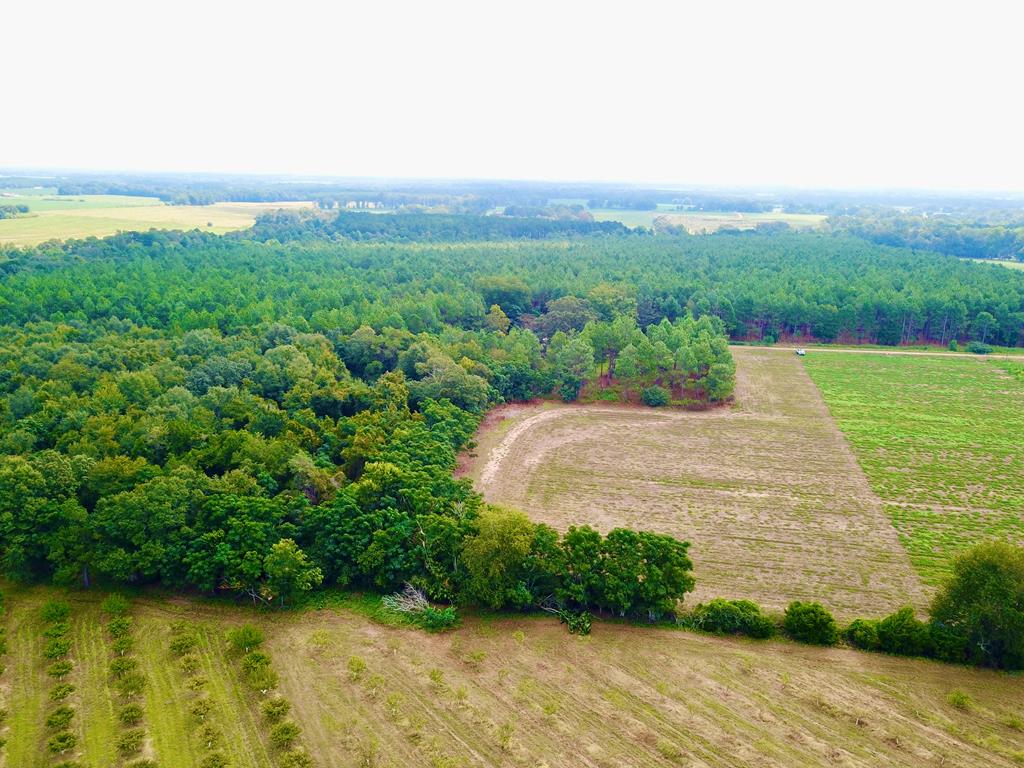 10.69-acres Summer Road Slocomb, AL 36375 - Photo 41 of 51