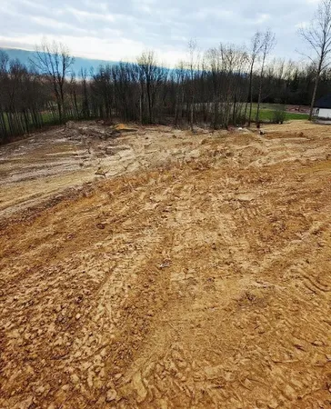 a view of a yard with trees
