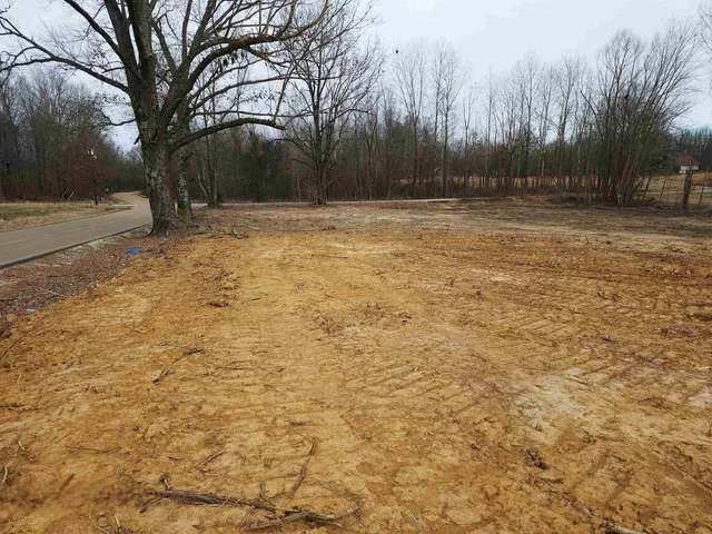 a view of pool with trees